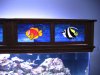 new tank and glass work 006.JPG